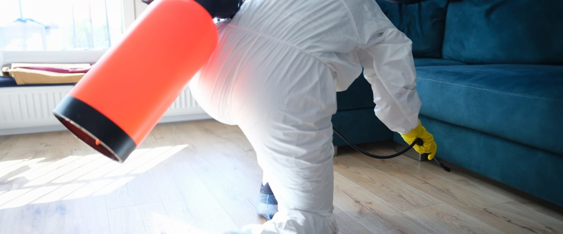 Mold Damage Restoration in Mt. Peasant: How Appliance Repair Issues Can Lead to Bigger Problems