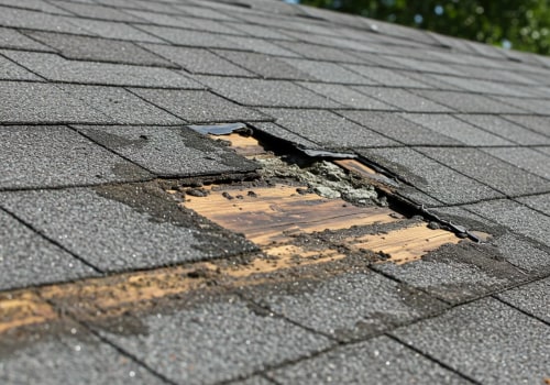 Why Appliance Repair Technicians Sometimes Notice Signs of Roofing Moisture Problems